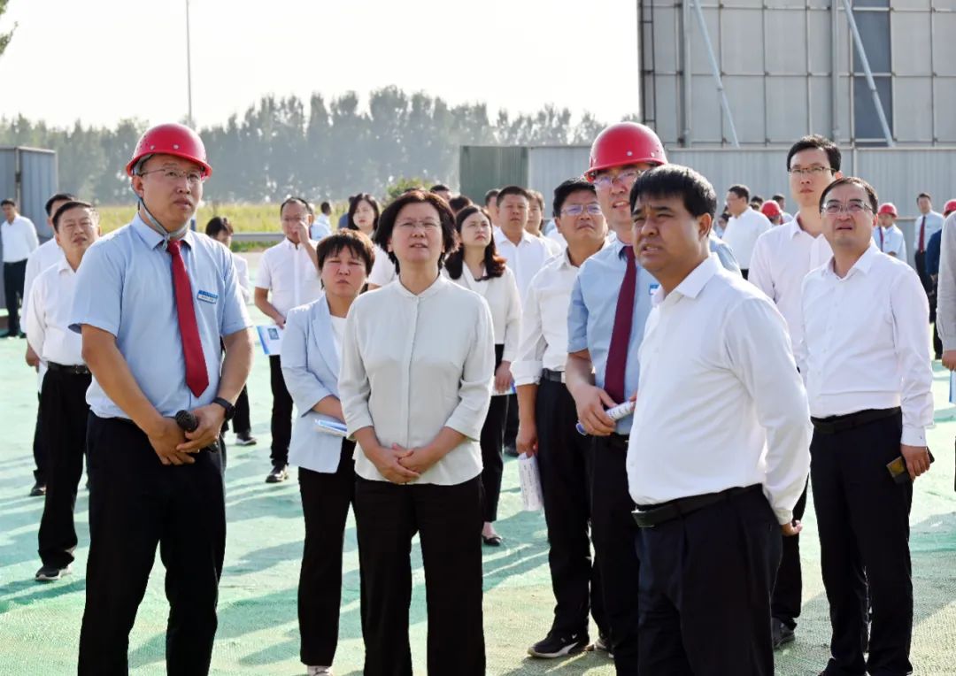 1665633295768819.jpg 1012.jpg